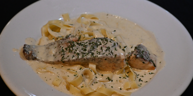 Salmon Alfredo
